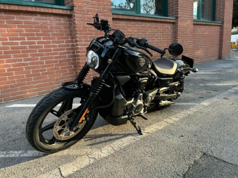 Harley-Davidson Nightster (2023 - 24) (3)