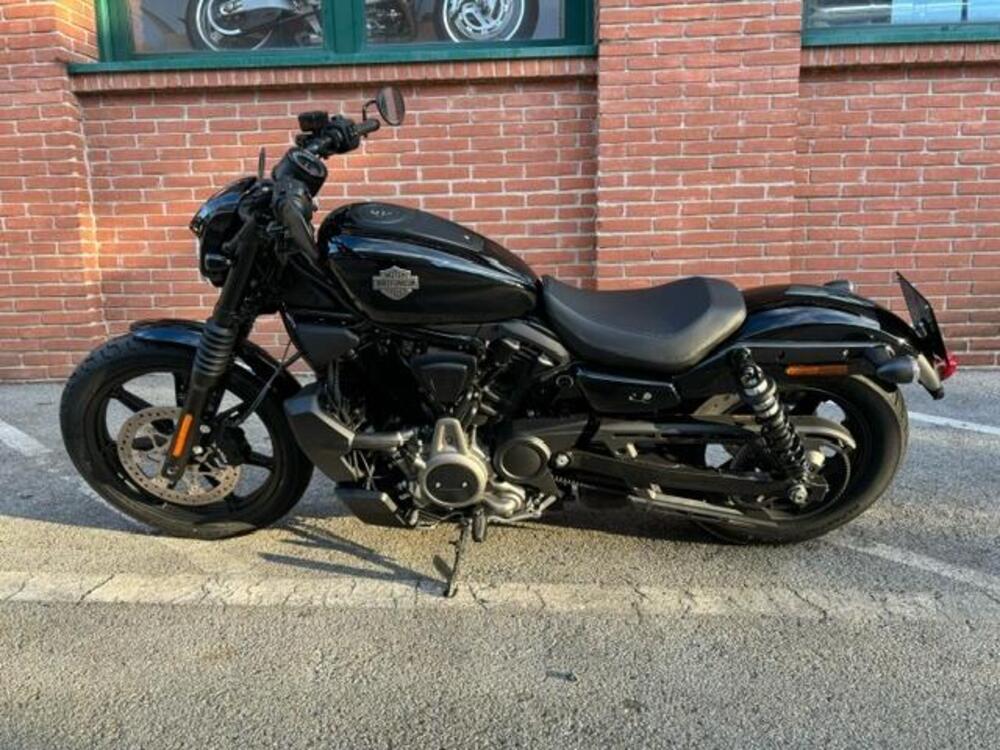 Harley-Davidson Nightster (2023 - 24) (4)