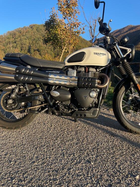 Triumph Street Scrambler 900 (2019 - 20) (2)