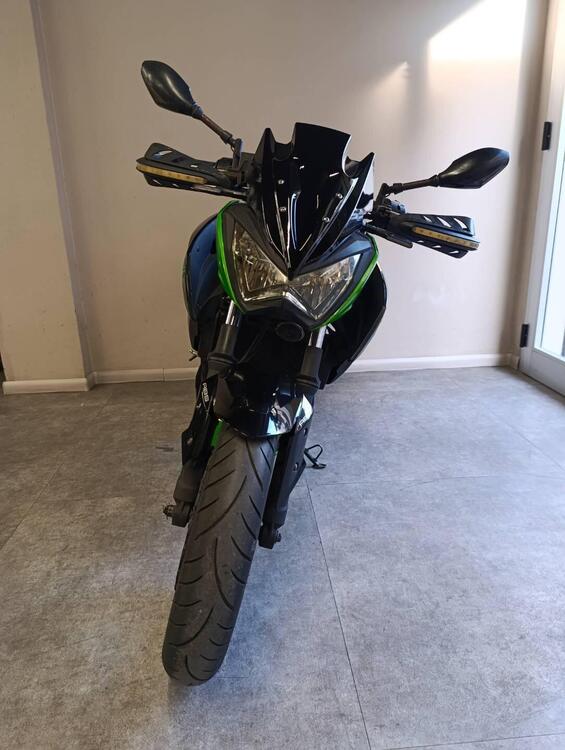 Kawasaki Z 300 ABS (2015 - 16) (4)