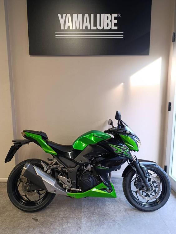 Kawasaki Z 300 ABS (2015 - 16)