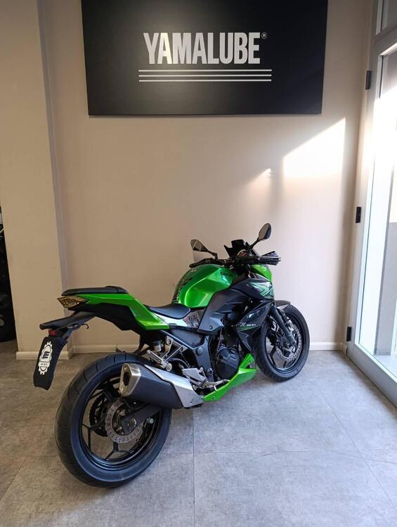 Kawasaki Z 300 ABS (2015 - 16) (3)