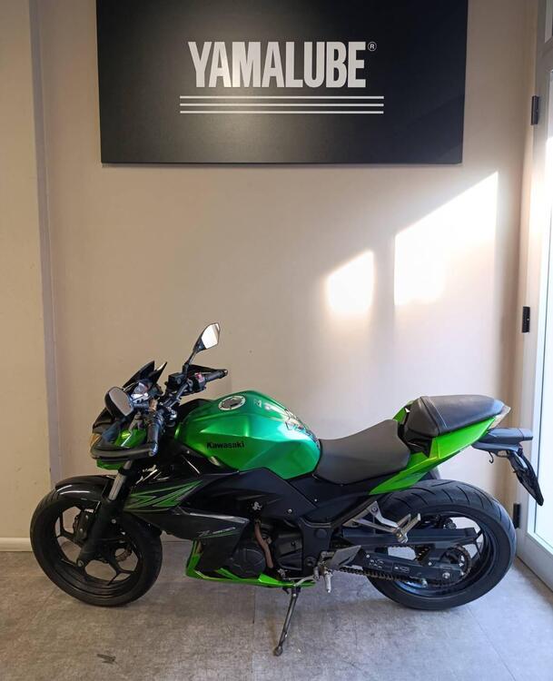 Kawasaki Z 300 ABS (2015 - 16) (2)