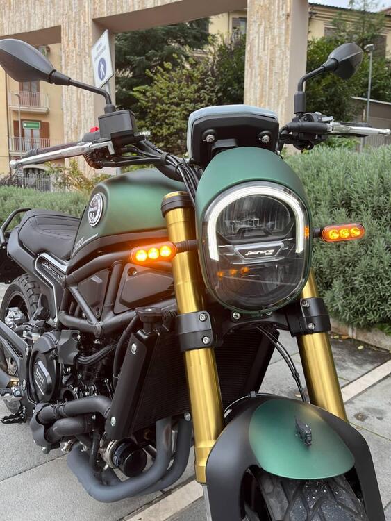 Benelli Leoncino 800 (2022 - 24) (5)