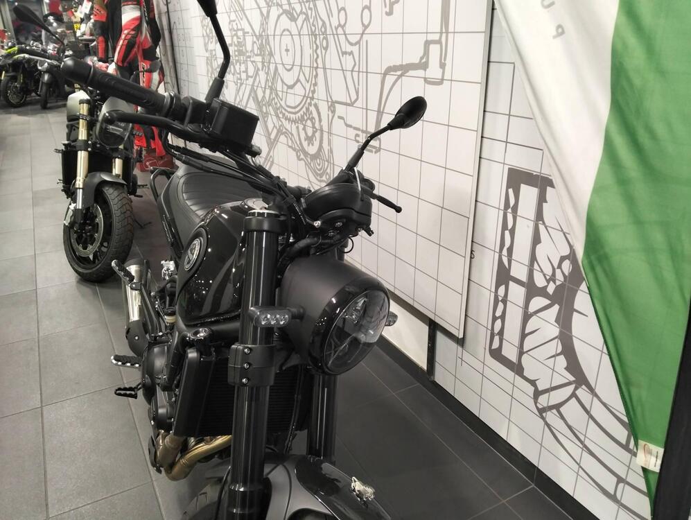 Benelli Leoncino 500 (2021 - 24)