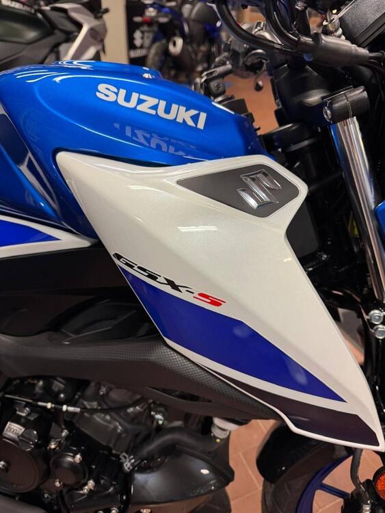 Suzuki GSX-S125 (2022 - 24) (3)