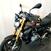 Bmw R 1250 R (2021 - 25) (8)