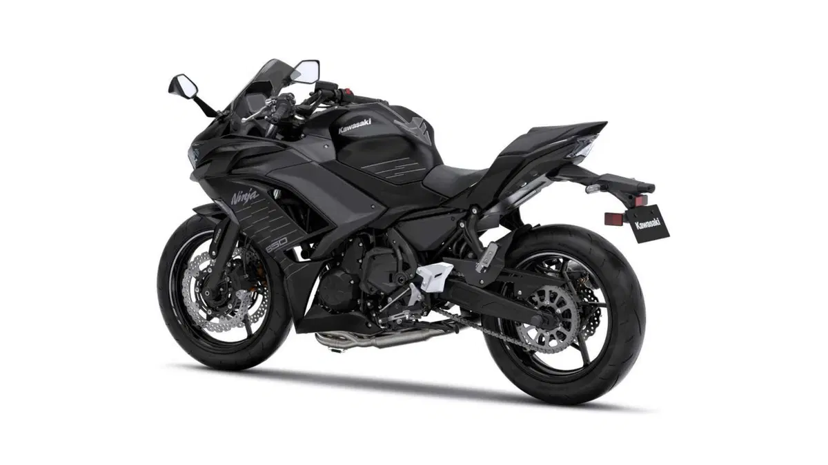 Kawasaki Ninja 650 Ninja 650 Performance Arrow (2025 - 26) (4)