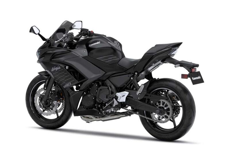 Kawasaki Ninja 650 Ninja 650 Performance Arrow (2025) (4)