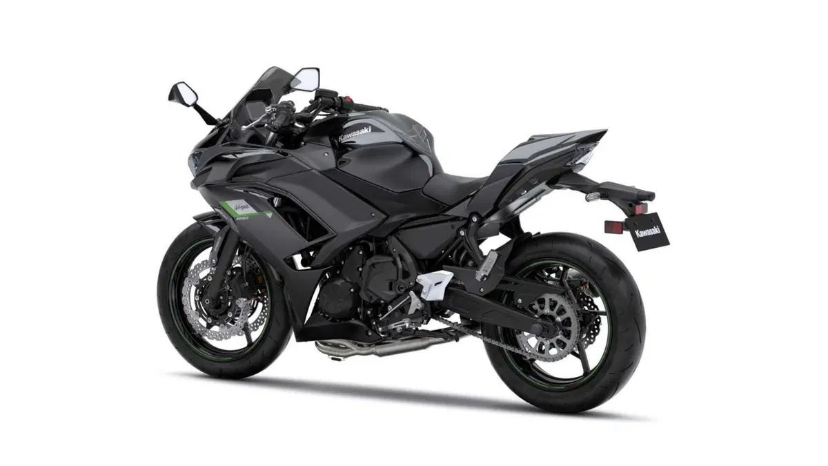 Kawasaki Ninja 650 Ninja 650 Performance Arrow (2025 - 26) (6)