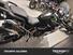 Triumph Tiger 1200 Rally Explorer (2022 - 23) (10)