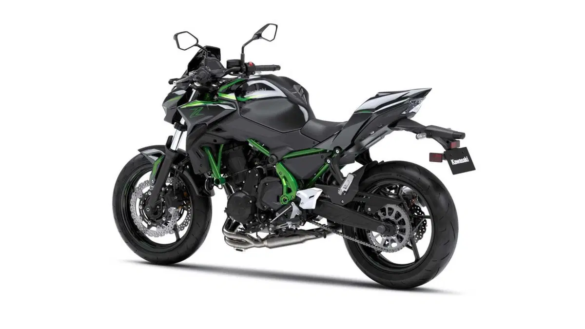 Kawasaki Z 650 Z 650 Performance Arrow (2025 - 27) (4)