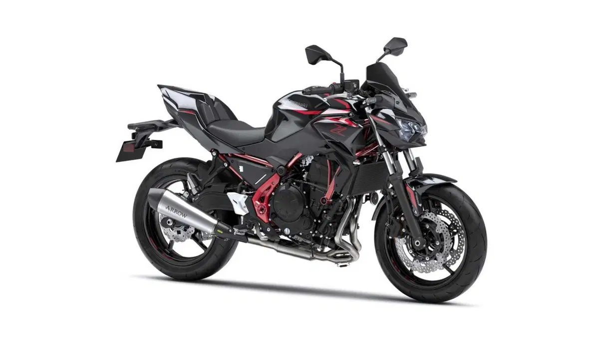 Kawasaki Z 650 Z 650 Performance Arrow (2025 - 26)