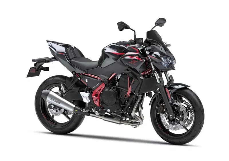 Kawasaki Z 650 Z 650 Performance Arrow (2025 - 26)