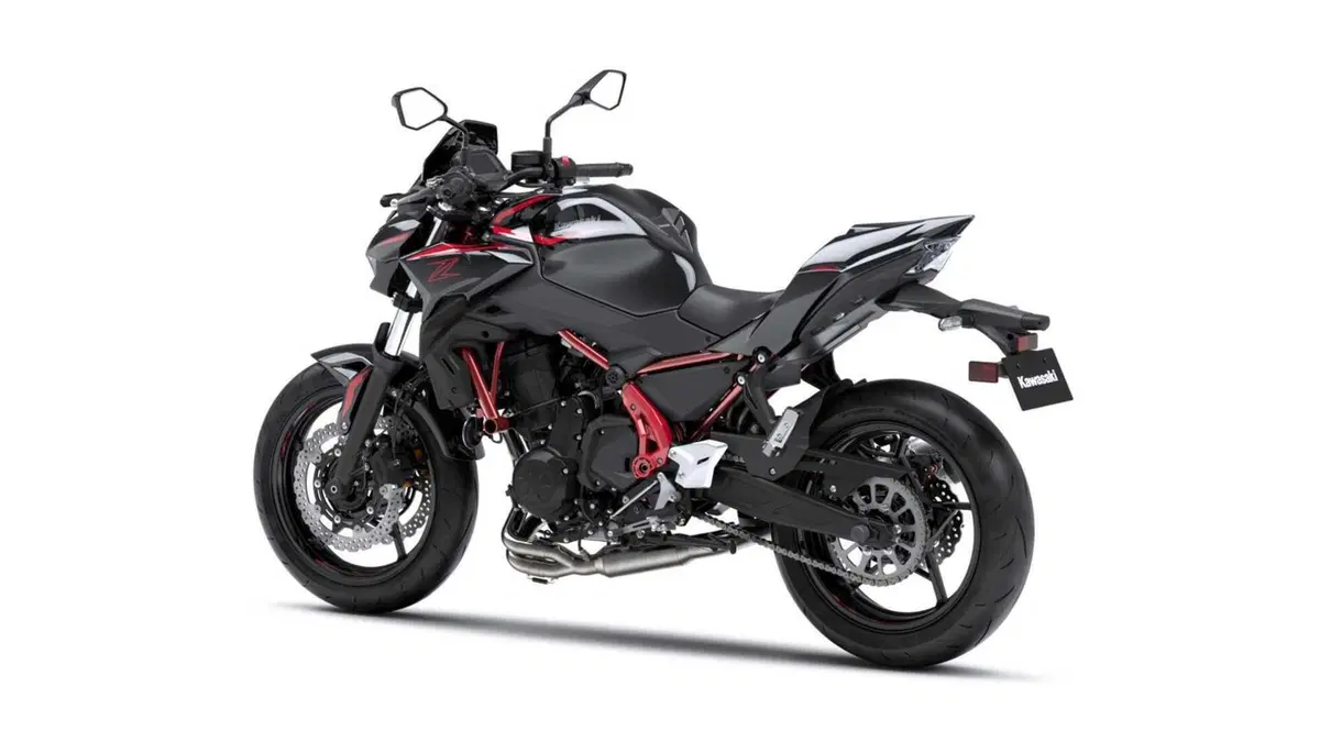 Kawasaki Z 650 Z 650 Performance Arrow (2025 - 27) (2)