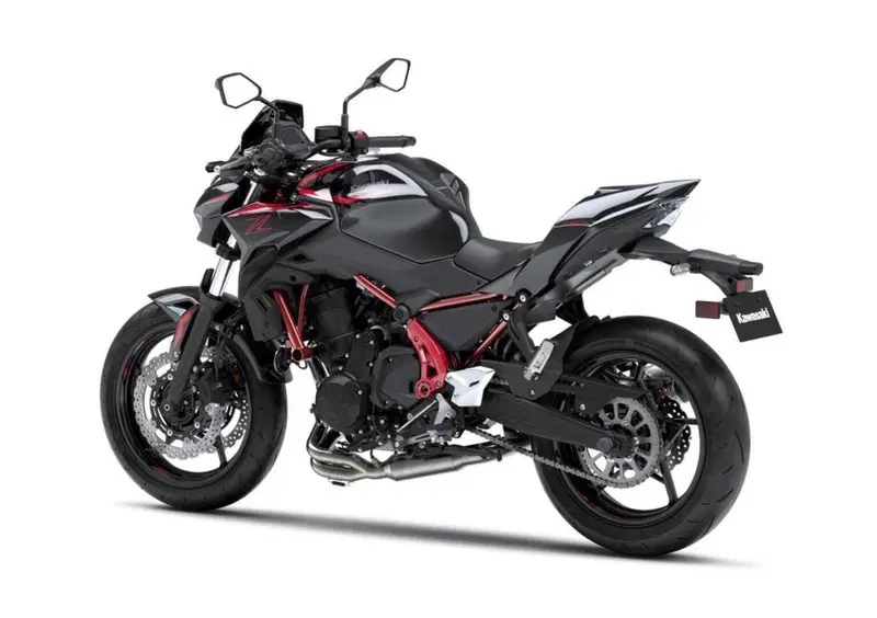 Kawasaki Z 650 Z 650 Performance Arrow (2025 - 26) (2)