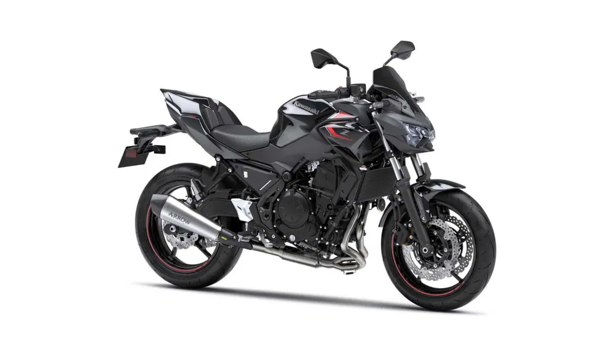Kawasaki Z 650 Z 650 Performance Arrow (2025 - 27) (5)