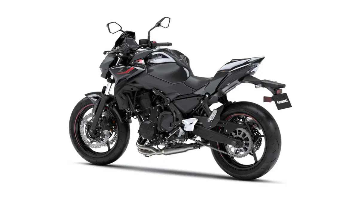 Kawasaki Z 650 Z 650 Performance Arrow (2025 - 27) (6)