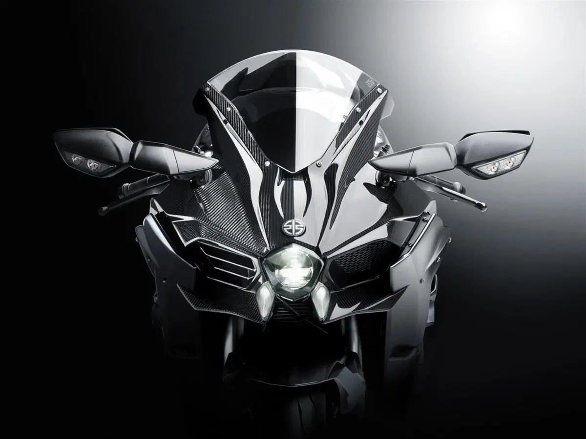 Kawasaki Ninja H2 Ninja H2 Carbon (2017 - 18) (5)