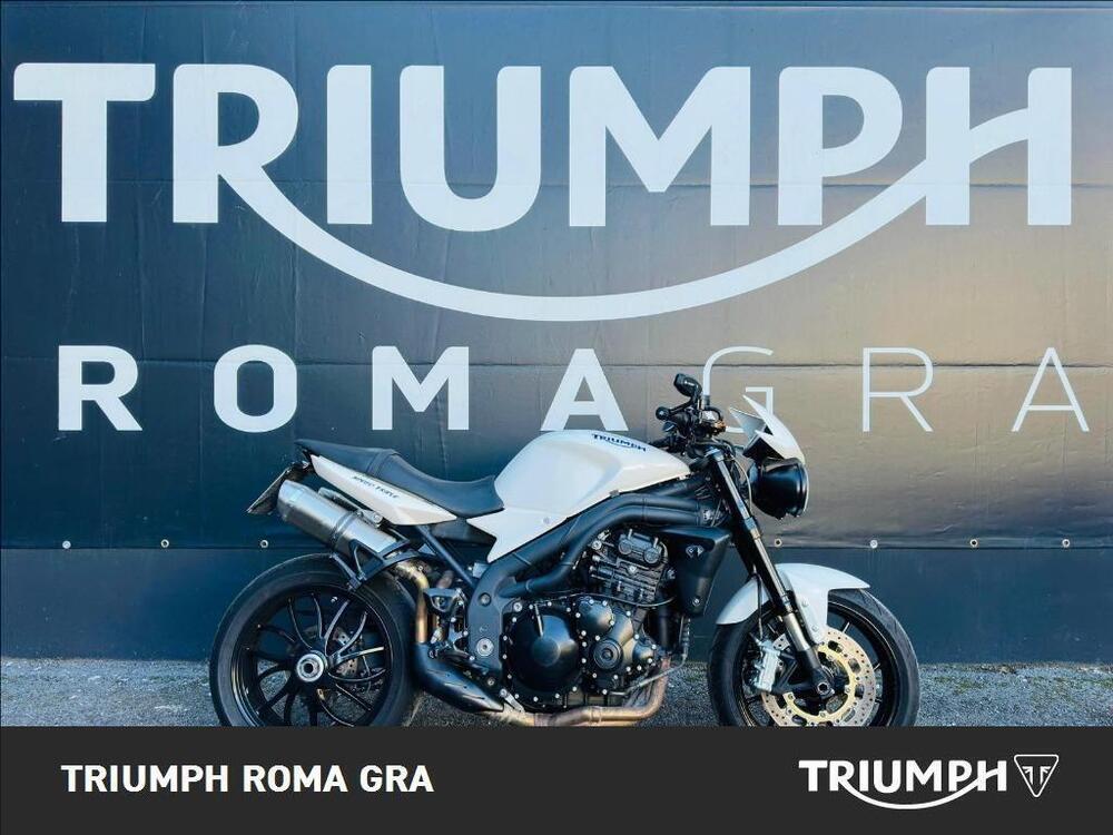 Triumph Speed Triple 1050 (2005 - 11) (2)