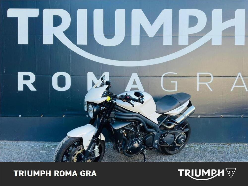 Triumph Speed Triple 1050 (2005 - 11) (3)