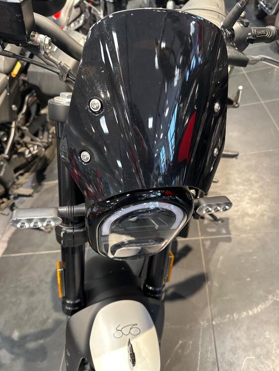 Benelli Leoncino 250 (2021 - 24) (2)