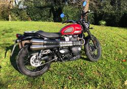 Triumph Street Scrambler 900 (2017 - 18) usata