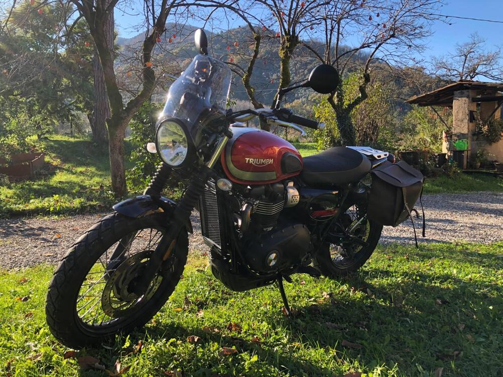 Triumph Street Scrambler 900 (2017 - 18) (3)