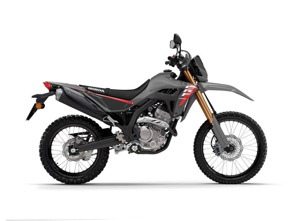 Honda CRF 300 L (2021 - 24) (2)