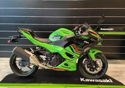 Kawasaki Ninja 500 SE (2024 - 25) nuova