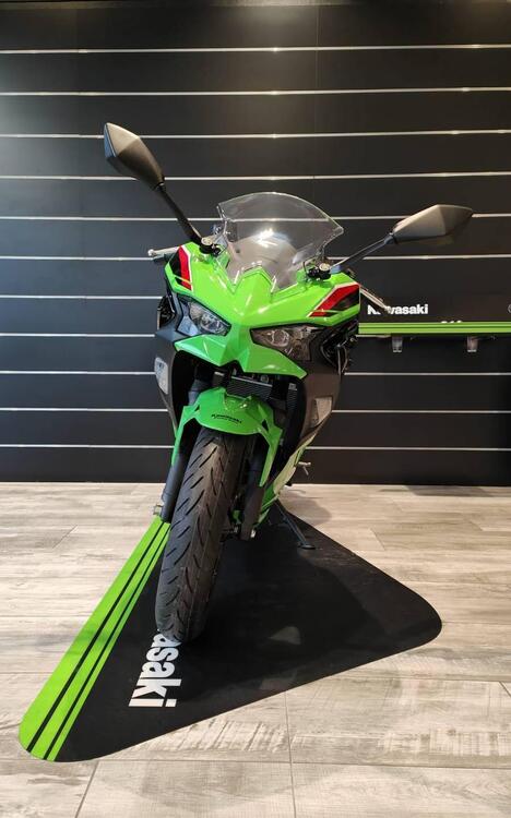 Kawasaki Ninja 500 SE (2024 - 25) (4)