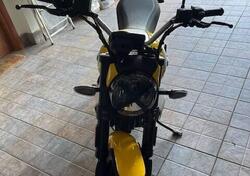 Ducati Scrambler 800 Icon (2023 - 24) usata