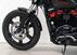 Harley-Davidson Softail Standard (2021 - 24) (11)