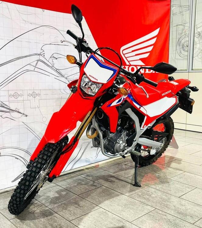 Honda CRF 300 L (2021 - 24) (2)