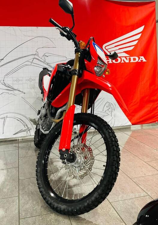 Honda CRF 300 L (2021 - 24) (4)