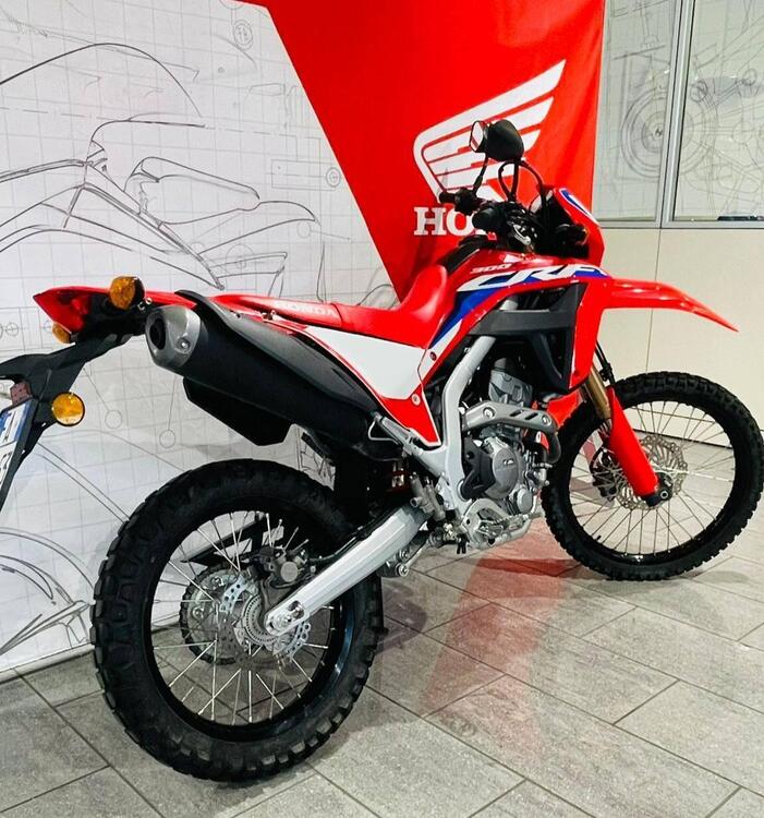 Honda CRF 300 L (2021 - 24) (5)