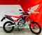 Honda CRF 300 L (2021 - 24) (6)