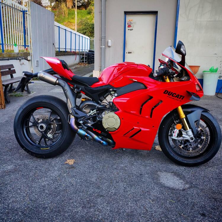 Ducati Panigale V4 S (2022 - 24) (4)