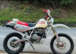 Honda XR 600 R (1990 - 94) usata