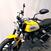 Ducati Scrambler 800 Icon (2015 - 16) (8)