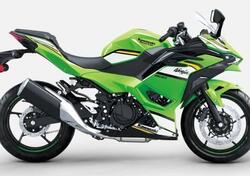 Kawasaki Ninja 500 SE (2024 - 25) nuova