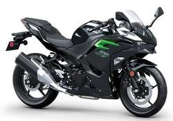 Kawasaki Ninja 500 (2024 - 25) nuova