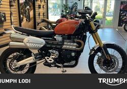 Triumph Scrambler 1200 XE (2024) nuova