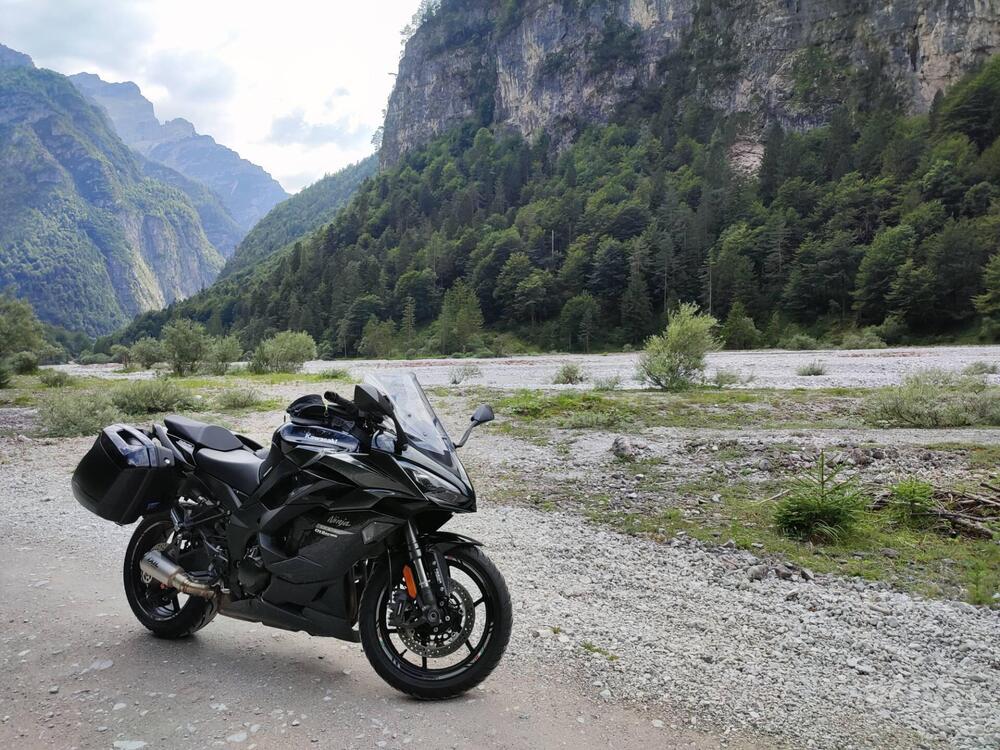 Kawasaki Ninja 1000 SX Tourer (2021 - 24)