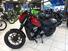 Moto Morini Calibro Custom (2024 - 25) (8)