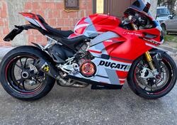 Ducati Panigale V4 S 1100 Corse (2019) usata