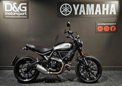 Ducati Scrambler 800 Icon (2021 - 22) usata