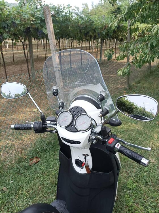 Piaggio Carnaby Cruiser 300 (2008 - 13) (5)