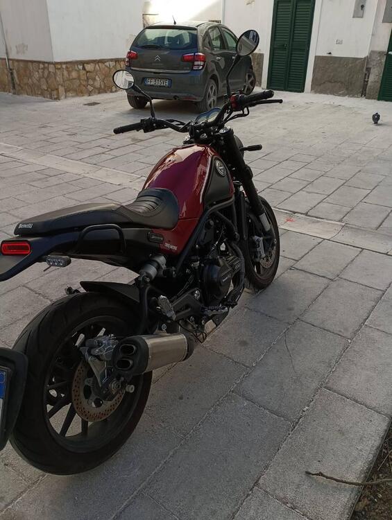 Benelli Leoncino 500 (2021 - 25) (4)