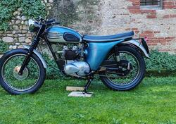 Triumph T100ss  d'epoca